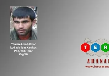 Gri listedeki terörist öldürüldü