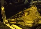 60 bin TLlik cezayı görünce avladıklarına pişman oldular