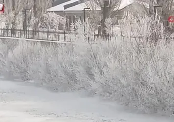 Ardahan'da dondurucu soğuklar etkili oldu