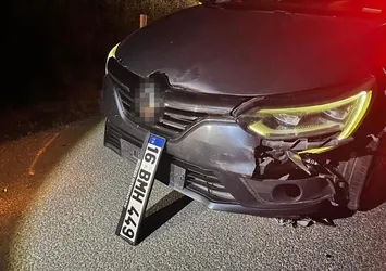 Bursa'da ayı ile çarpışan araç pert oldu