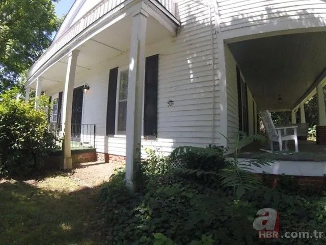 Evinin duvarından gelen garip sesler arttı! Termal kamerayla bakınca şoka girdi 6