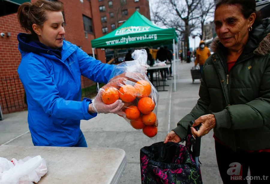 ABD'li immünologdan koronavirüs vakalarıyla ilgili korkutan açıklama! Ölü sayısı 100 ila 200 bin arasında... 3