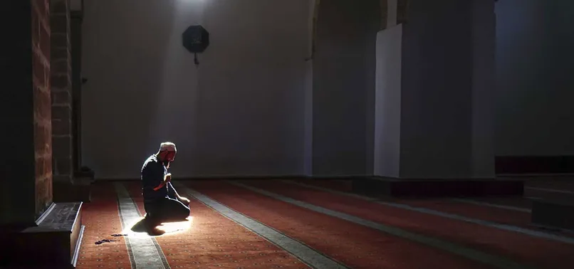 ludo stor gallery from 2021