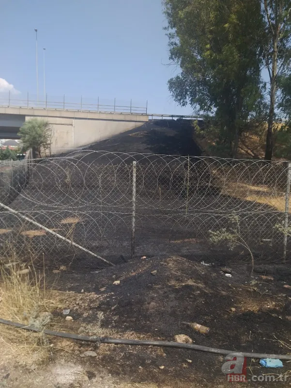 Aydın'da araç içinden atılan sigara yangına sebep oldu 2