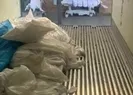 ABDde koronavirüsten ölenleri üst üste attılar