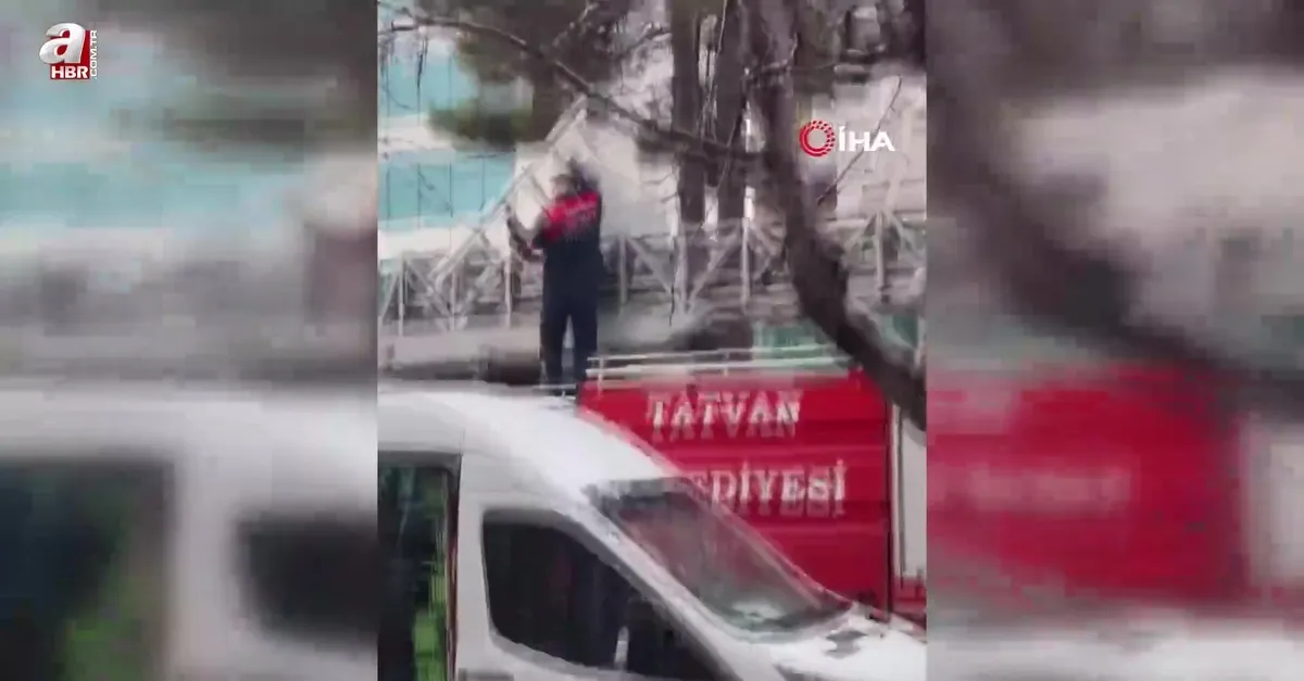Ağaçta mahsur kalan kedi kurtarıldı