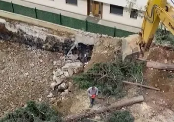 CHP'li Maltepe Belediyesi'nde ağaç katliamı! Toprağa gömdüler