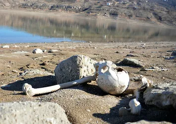 Baraj suyu çekilince ortaya çıktı: "Vicdan azabı çekiyorum"