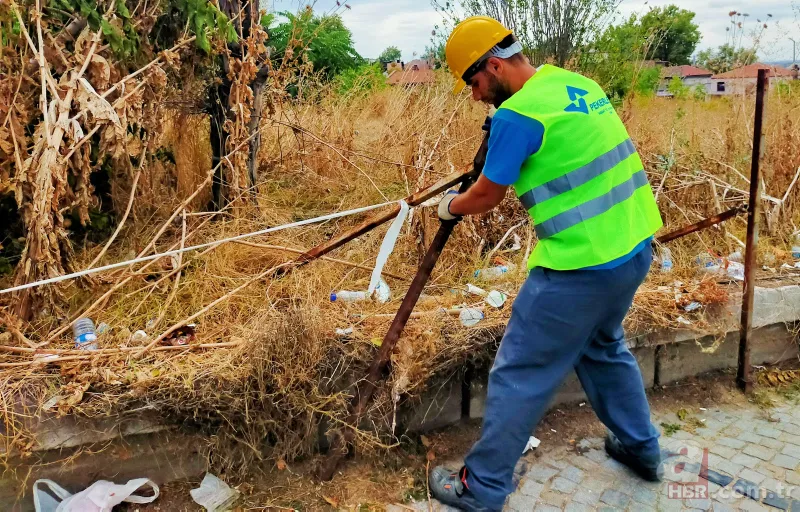 Başkan Erdoğan talimat vermişti! Selimiye Camii'nde 6 yıl aradan sonra çalışmalar başladı 4