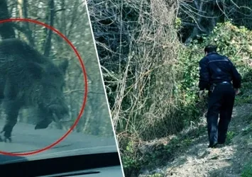 Samsun'da polisi alarma geçiren olay!