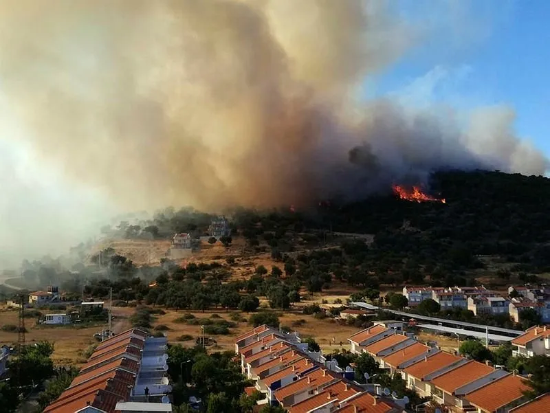Son Dakika Izmir Dikili De Orman Yangini