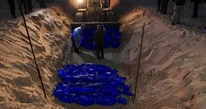 Ölenlerin iç organlarını çaldılar