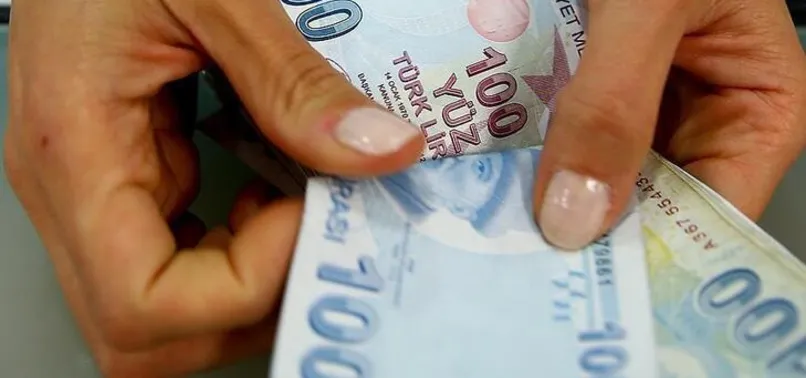 5.250 TL'lik hibe desteğinden faydalanmak isteyenler dikkat: Başvurular uzatıldı