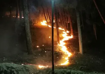 Adana Kozan'da orman yangını