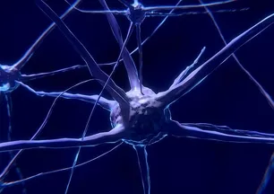 9 yaşında başlıyor 32 yaşına kadar sürüyor! Bilim insanlarından şaşırtan araştırma