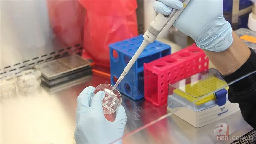 PCR testi zorunluluğu kalktı mı? Sinema, cafe, uçak, otobüsler PCR testi şart mı? PCRT testi kesti kalktı mı? 6