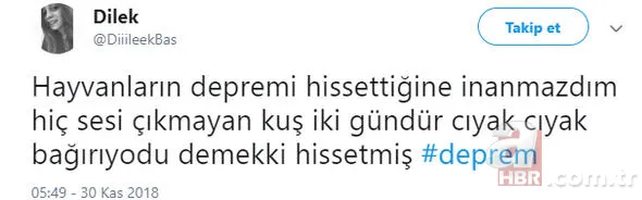Deprem Twitter'da TT listesine girdi... İşte ilk yorumlar 14