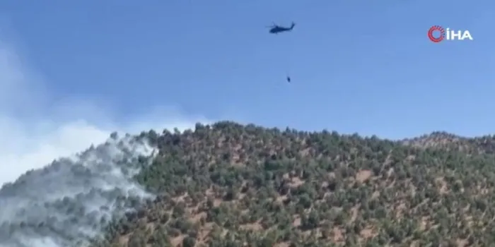 balikesir-canakkale-denizli-ve-diyarbakirda-orman-yangini-1719414540930.jpeg