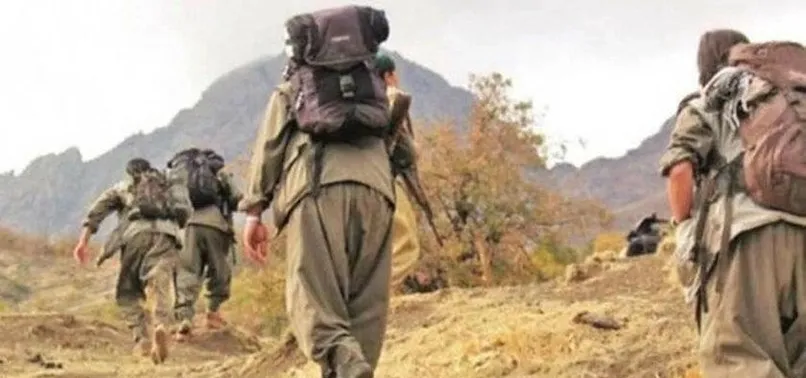 Son dakika: PKK'ya ağır darbe! 76 sözde yönetici öldürüldü...