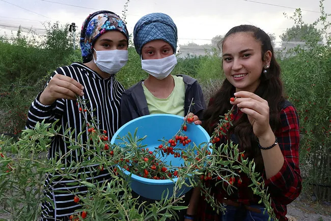 Vali Aydoğdu’nun “Sen biz okutacağız” sözleri Ayşenur’u ağlattı - 4