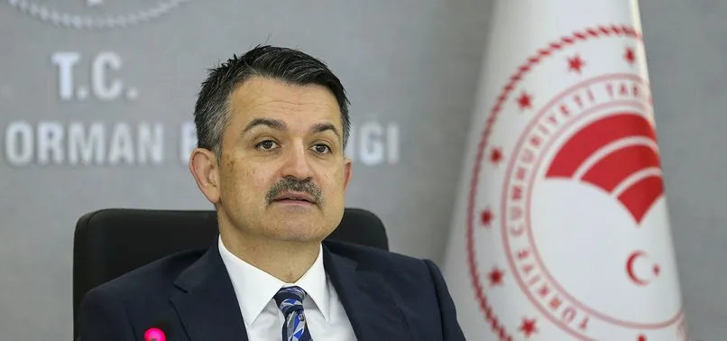 Son dakika: Bakan Pakdemirli duyurdu: Yangınlar kontrol altına alındı