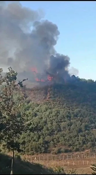 İstanbul Sultangazi’deki orman yangını kontrol altına alındı: Yaklaşık 10 dönüm alan kül oldu