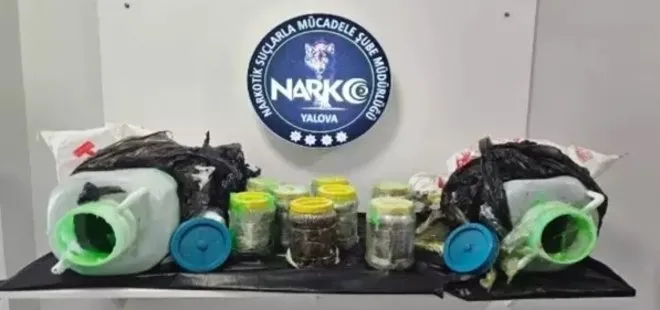 Yalova'da eş zamanlı uyuşturucu operasyonu: 7 tutuklama