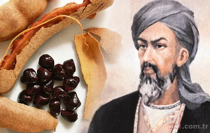 İbn-i Sina'nın 1000 yıllık şifa reçetesinden çıktı! Şeker hastalarına doğal ilaç... 1