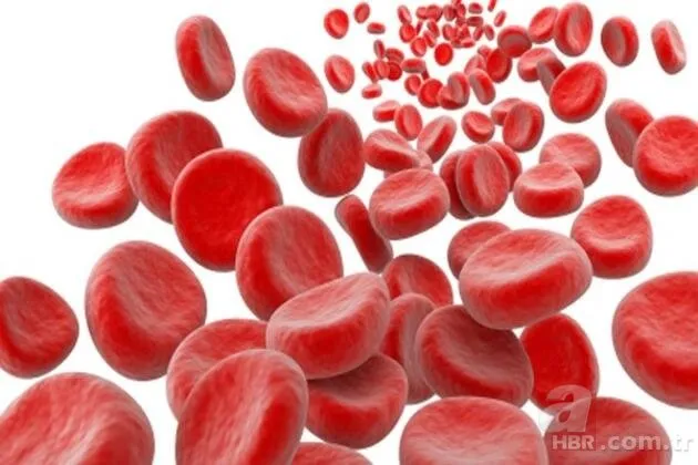Hangi kan grubu nasıl beslenmeli? İşte kan grubunuza göre tüketmeniz gereken besinler...