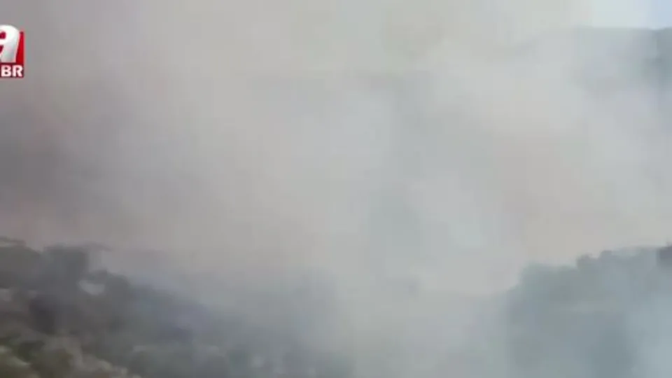 Antalya’nın 4 ilçesinde orman yangını