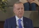 Başkan Erdoğan’dan barınak mesajı