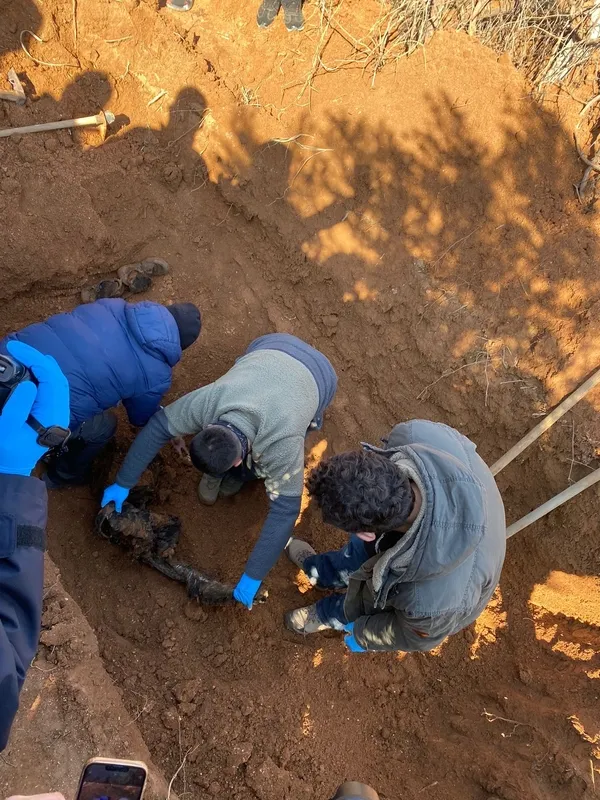 Saldırı hazırlığındayken yakalanan PKK’lı terörist örgüt içi infazı itiraf etti: Dediğimi yapmadı öldürdüm