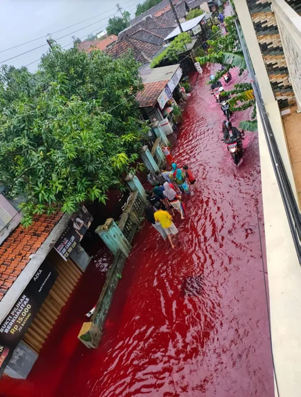 Sokaklar kırmızıya boyandı! Görenler hayrete düştü