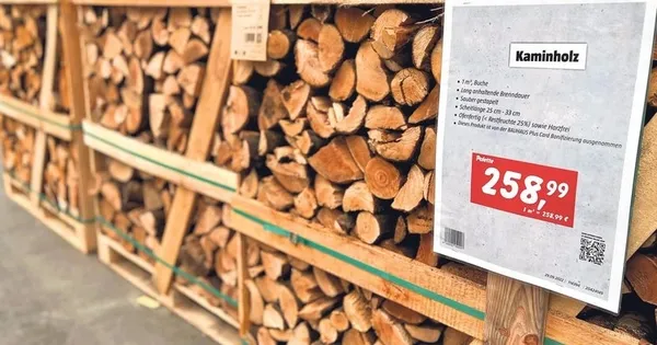 Almanya’da kriz büyüyor! Odun altından değerli oldu