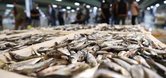 Balıkçılar Vira Bismillah dedi ilk mezatlar gerçekleşti! İşte balık fiyatları