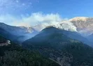 Denizlide orman yangını! Alevler kontrol altında