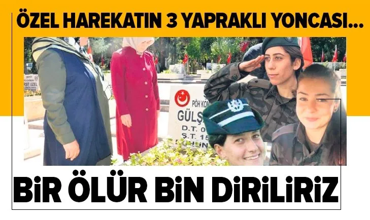 Özel Harekatın 3 yapraklı yoncaları!