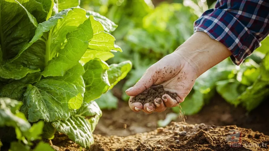 Mazotun tamamı, gübrenin yarısı devletten: Çiftçinin maliyeti düşecek 16