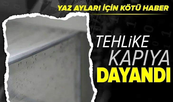 Prof. Dr. Hüseyin Çetin: Yaz aylarında sivrisinek popülasyonu artacak