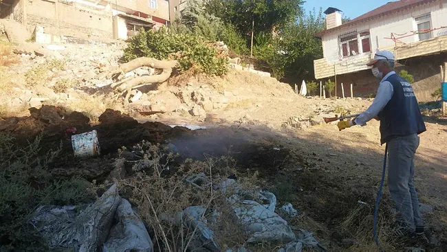 Sivrisinek sayısında artış! Uzman isim uyardı: ölüme sebep olan virüsleri bulaştırır - 6