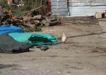 Tavuk yüzünden iki yeğenini tüfekle vurdu