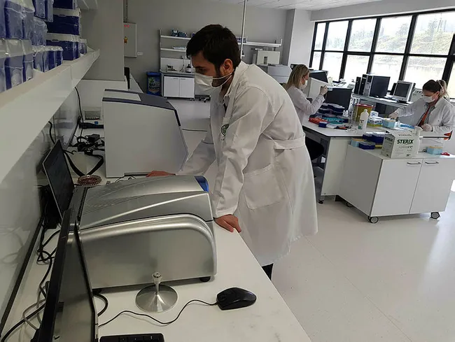 Uzman isimler araştırdı! Bazı koronavirüs hastalarında bileşik mutasyonlara rastlandı - 3