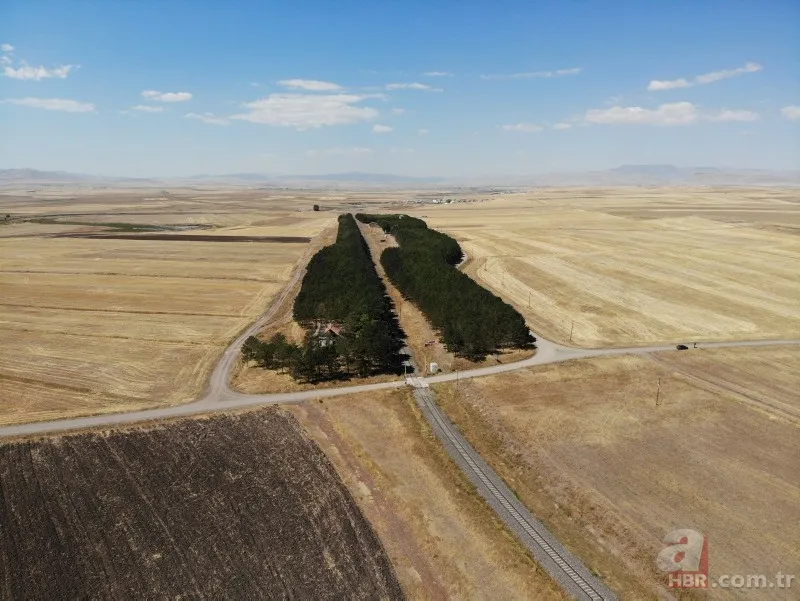 Bozkırın ortasında yemyeşil doğa! Hayran bırakan görüntüler 10