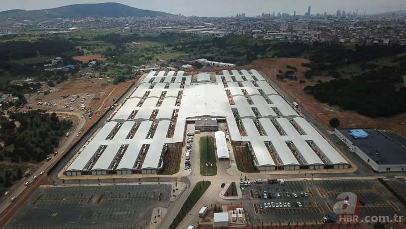 Prof. Dr. Feriha Öz Acil Durum Hastanesi hizmete açıldı! Başkan Erdoğan incelemelerde bulundu 5