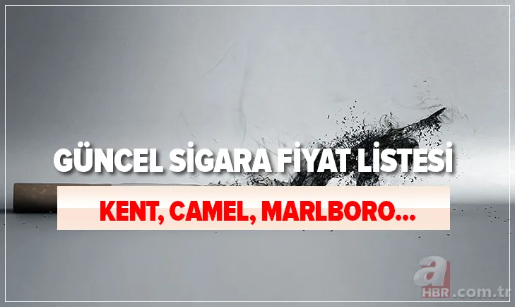 2021 Şubat sigara fiyatları güncel liste: Zam sonrasında Winston, Kent, Camel, Rothmans, Parliament fiyatları.... 1