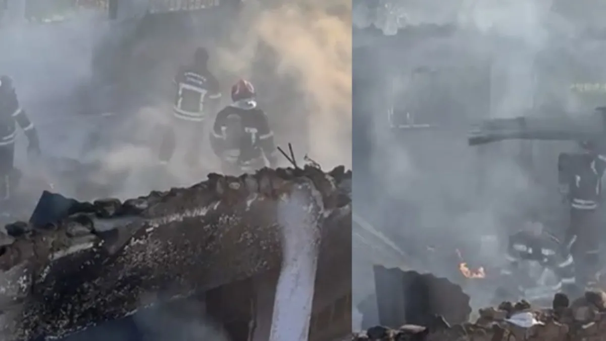 Osmaniye'de hayvan çiftliğindeki yangından acı haber: Çok sayıda hayvan telef oldu