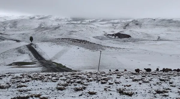 Meteoroloji 5 günlük hava durumu raporunu yayınladı! Doğuda eksi 8 batıda 30 derece sıcaklık | Pastırma sıcakları... - 17