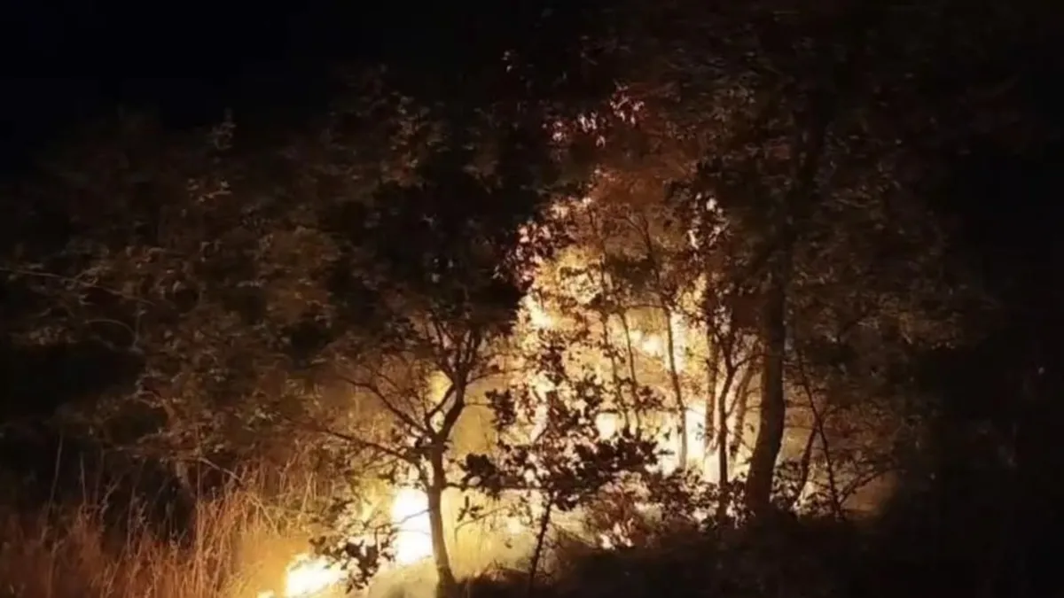 Balıkesir'deki çöplükte yangın paniği: Alevler araziye sıçradı