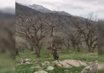 Kuzey Irak'ta bir terörist teslim oldu