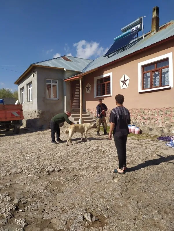 Bitlis’te 2 çocukta kuduz vakası! Meğer çocuklar köpek tarafından ısırıldığını ailelerinden gizlemiş! Uzmanlar hayati uyarıyı yaptı: Erken tanı ile tedavisi çok kolay
